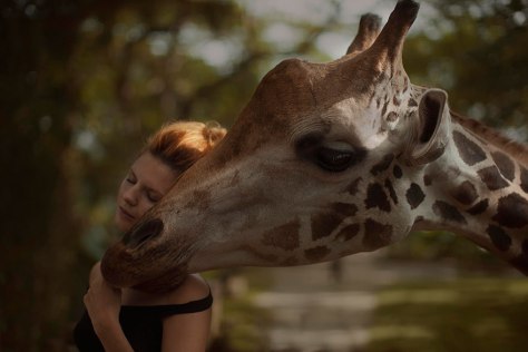 katerina plotnikova photography 2 Girl and a Giraffe