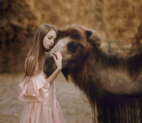 katerina plotnikova photography 7 Girl and a Lama